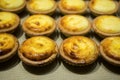 Hokkaido baked cheese tart Royalty Free Stock Photo