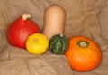 Hokkaido, butternut and warty pumpkins