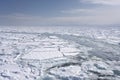 Drift ice in the offing of the Abashiri port, Hokkaido, Japan Royalty Free Stock Photo