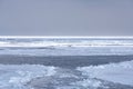 Haliaeetus albicilla flying over Drift ice in the offing of the Abashiri port, Hokkaido, Japan Royalty Free Stock Photo