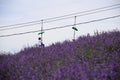 Hokkaido, Japan - 27 JULY 2017 : Unidentified woman riding up on chairlift to hill top surpassing lavender field in Choei park.