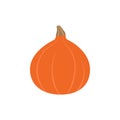 Hokkaido pumpkin vector illustration icon