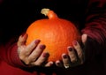 Hokkaido pumpkins, Cucurbita maxima