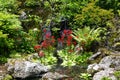 Vegetation in Hokkaido University Botanical Garden