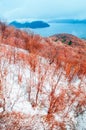 Hokkaido Usuzan mountain forest and lake Toya in urly winter wit