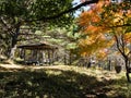Autumn colors on a hiking trail at Kannondaira overlook in Yatsugatake Royalty Free Stock Photo
