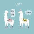 Hola , Llama. Vector illustration Royalty Free Stock Photo