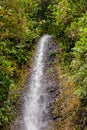 Tropical Waterfall In Amazonia Jungle