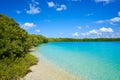 Holbox Island beach mangroove in Mexico Royalty Free Stock Photo