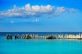 Holbox island beach in Mexico sea birds Royalty Free Stock Photo