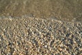 Holbox island beach shells sand texture Royalty Free Stock Photo