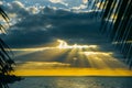 Holbox island sunset beach palm tree tropical in Mexico Royalty Free Stock Photo