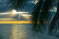 Holbox island sunset beach palm tree tropical in Mexico Royalty Free Stock Photo