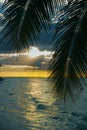 Holbox island sunset beach palm tree tropical in Mexico Royalty Free Stock Photo