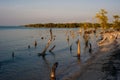 Holbox island sunset beach palm tree tropical in Mexico Royalty Free Stock Photo