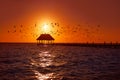 Holbox island sunset beach pier hut Mexico Royalty Free Stock Photo