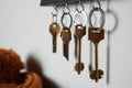 Holder with different keys on grey wall indoors