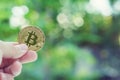 Bitcoin in hand with green blur background, bitcoin concept, copy space Royalty Free Stock Photo