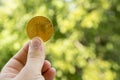 Holding bitcoin in hand with green blur background, bitcoin concept, copy space. The hand holds bitcoin Royalty Free Stock Photo