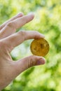 Holding bitcoin in hand with green blur background, bitcoin concept, copy space. The hand holds bitcoin. vertical photo Royalty Free Stock Photo