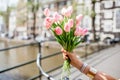 Holding tulips in Amsterdam Royalty Free Stock Photo