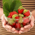 Holding bowl of fresh strawberries Royalty Free Stock Photo