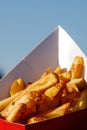Holding the box with typical Belgian fries at the summer street food festival. Royalty Free Stock Photo