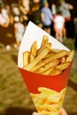 Holding the box with typical Belgian fries at the summer street food festival. Royalty Free Stock Photo