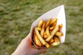 Holding the box with typical Belgian fries at the summer street food festival. Royalty Free Stock Photo