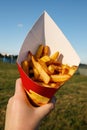 Holding the box with typical Belgian fries at the summer street food festival. Royalty Free Stock Photo