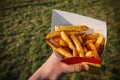 Holding the box with typical Belgian fries at the summer street food festival. Royalty Free Stock Photo