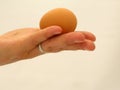Holding a brown egg Royalty Free Stock Photo