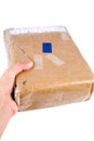 Holding brown paper package Royalty Free Stock Photo