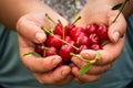 Holding cherries