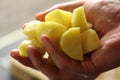 Holding Chopped and Peeled Potatoes Royalty Free Stock Photo