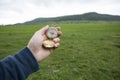 Holding a compass on the background of a green field Royalty Free Stock Photo