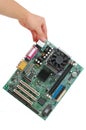 Holding Computer main-board Royalty Free Stock Photo