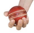 Holding cricket ball on white background Royalty Free Stock Photo