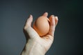Holding a egg by hand. Royalty Free Stock Photo