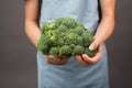 Holding fresh organic broccoli in the hand, prepare healthy food with vegetables, harvest and agriculture