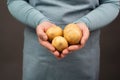 Holding fresh organic potatoes in the hand, prepare healthy food with vegetables, harvest and agriculture