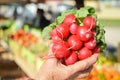 Holding fresh radish with one hand during shopping