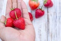 Holding fresh strawberry in hands