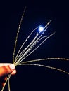 Holding grass leaves in hand at night facing moon