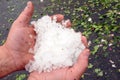 Holding hail stones in hand after hailstorm Royalty Free Stock Photo