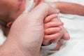 Holding Hands Royalty Free Stock Photo