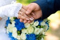 Holding hands of bride and groom close-up on the background of white roses and blue chrysanthemums.