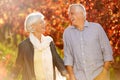 Holding hands, laughing and a senior couple in a vineyard, walking together while on a romantic date. Funny, love or Royalty Free Stock Photo