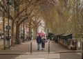 Holding hands in the Paris Rain