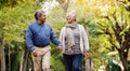 Holding hands, walking and senior couple in park for bonding, commitment and loving relationship. Retirement, marriage Royalty Free Stock Photo